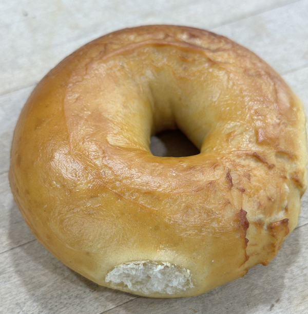 Plain Bagel